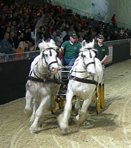 Equitana 2007