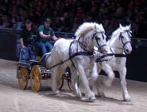 Equitana 2007