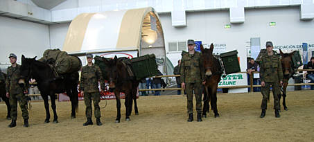 Equitana 2007