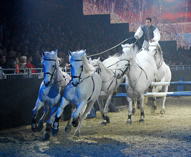 Hop Top Show in Essen am 18.3.09